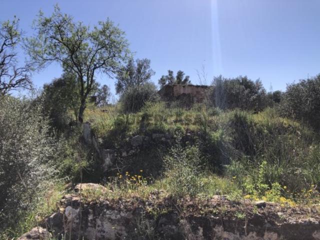 Terreno venda em São Bartolomeu De Messines, Faro