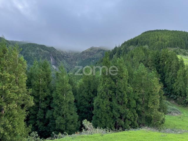 Terreno venda em Açores, Ribeira Grande