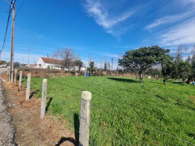 Armazém venda em Albergaria-a-velha, Aveiro