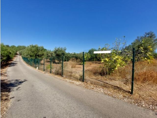 Terreno venda em Loulé, Faro