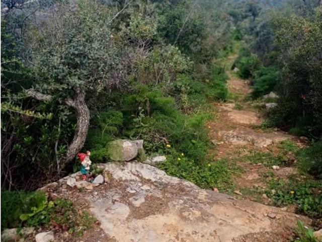 Terreno venda em Vizinhanças, Olhão