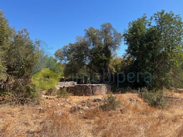Terreno venda em Albufeira, Faro