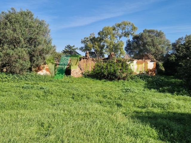 Terreno venda em Lagos, Faro