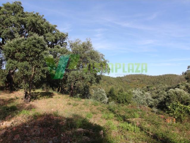 Terreno venda em Monchique, Faro