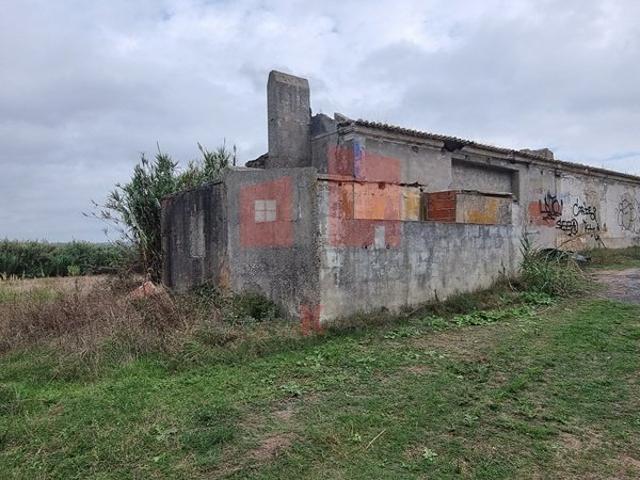 Terreno venda em Moçafaneira, Torres Vedras