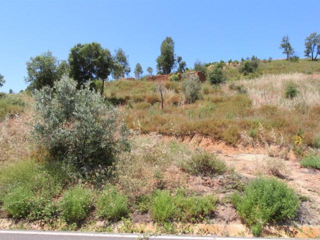 Terreno venda em Monchique, Faro