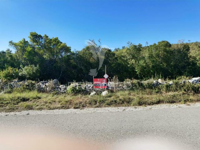 Terreno venda em Santarém