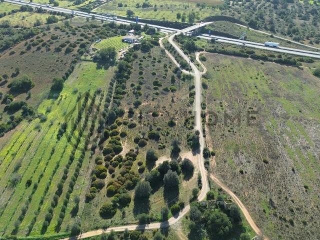 Terreno venda em Albufeira, Faro