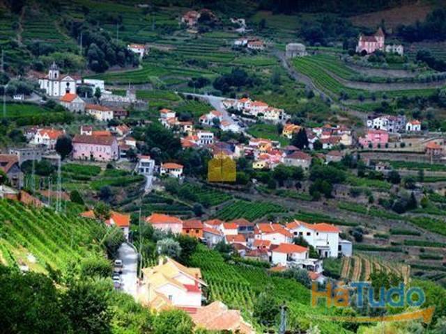 Terreno venda em São Nicolau, Vila Real
