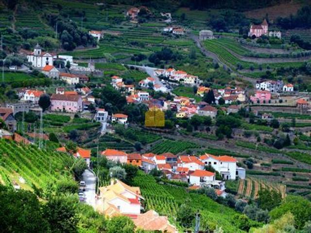 Terreno venda em São Nicolau, Vila Real