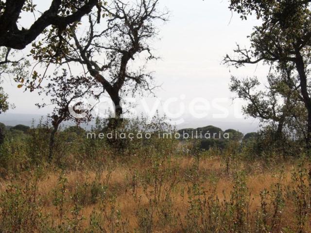 Terreno venda em Grândola, Setúbal