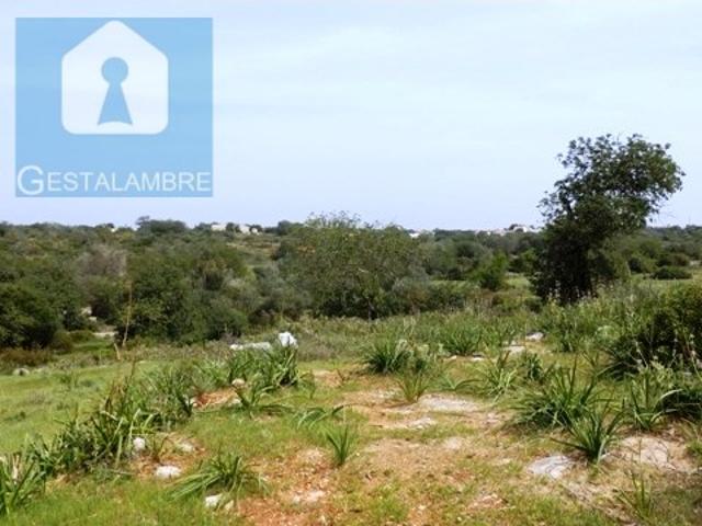 Terreno venda em Guia, Álamos