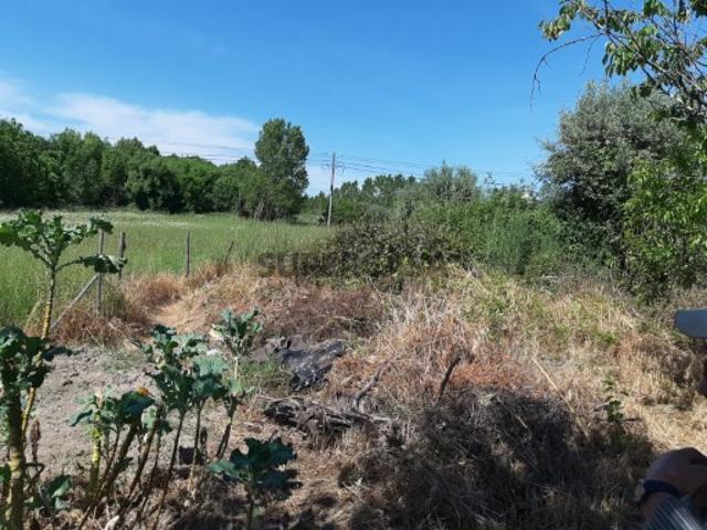 Terreno venda em Canas de Senhorim, Nelas