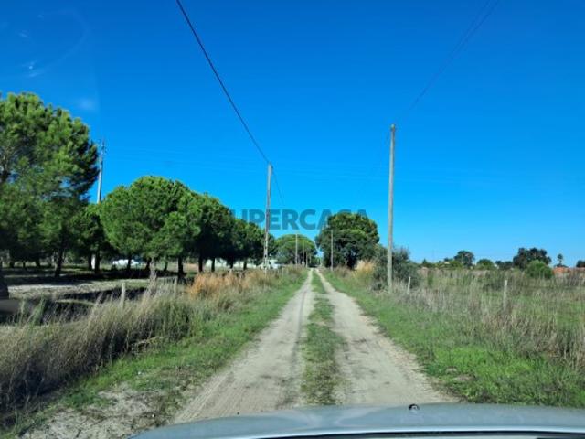 Terreno venda em Alcácer Do Sal, Setúbal