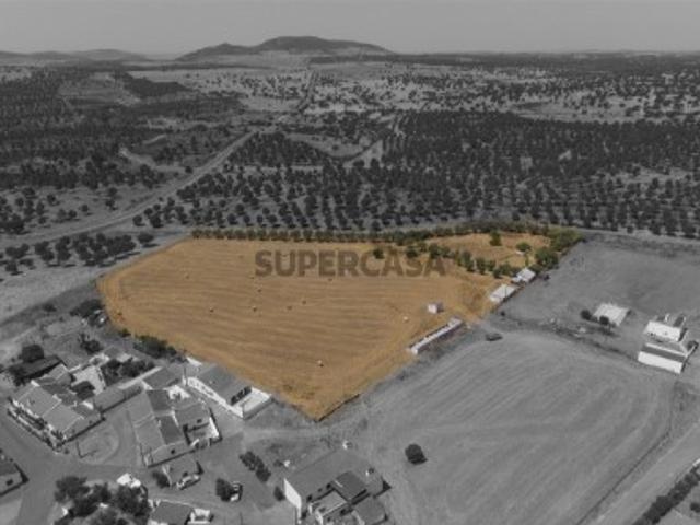 Terreno venda em Beja
