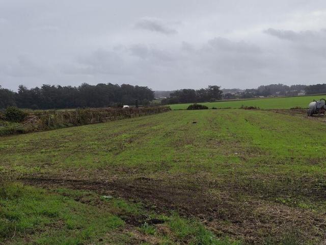 Terreno venda em Arcozelo, Braga