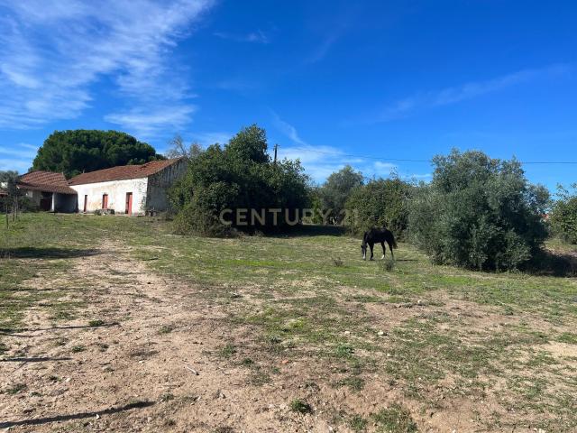Terreno venda em Santarém