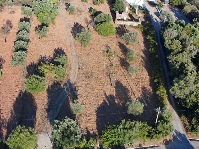 Terreno venda em Loulé, Faro