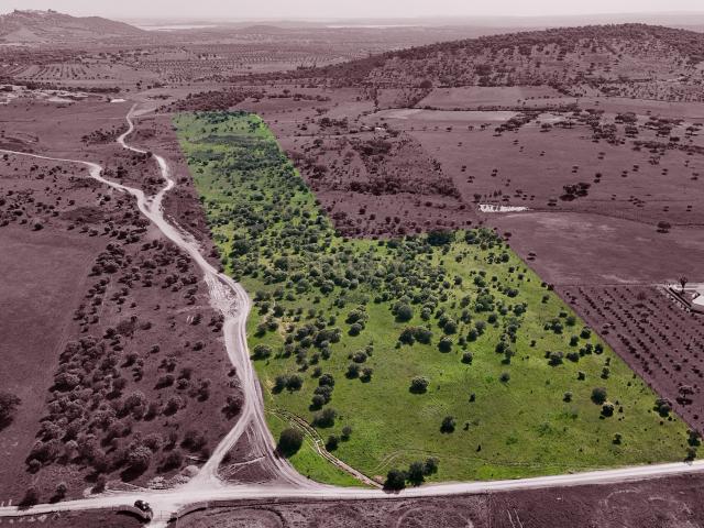 Terreno venda em Reguengos De Monsaraz, Évora