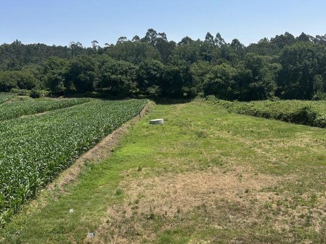 Terreno venda em Oliveira de Azeméis, Santiago de Riba-Ul, Ul, Macinhata da Seixa e Madail, Oliveira de Azeméis