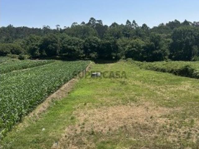 Terreno venda em Oliveira de Azeméis, Santiago de Riba-Ul, Ul, Macinhata da Seixa e Madail, Oliveira de Azeméis