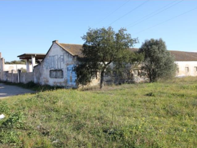 Terreno venda em Palmela, Setúbal