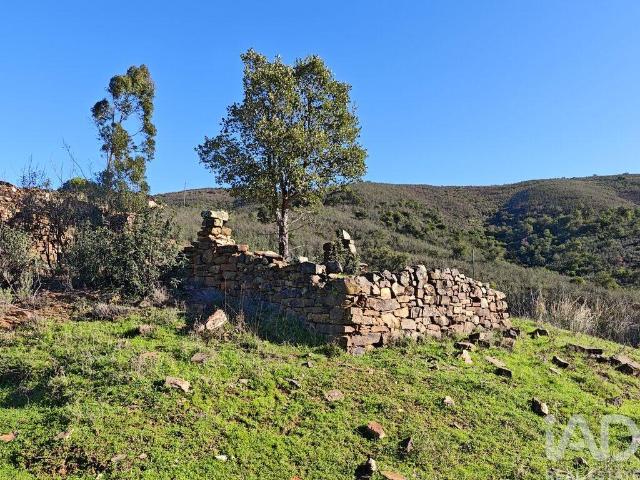 Terreno venda em São Bartolomeu De Messines, Faro