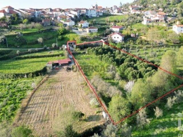 Terreno venda em Penela, Coimbra