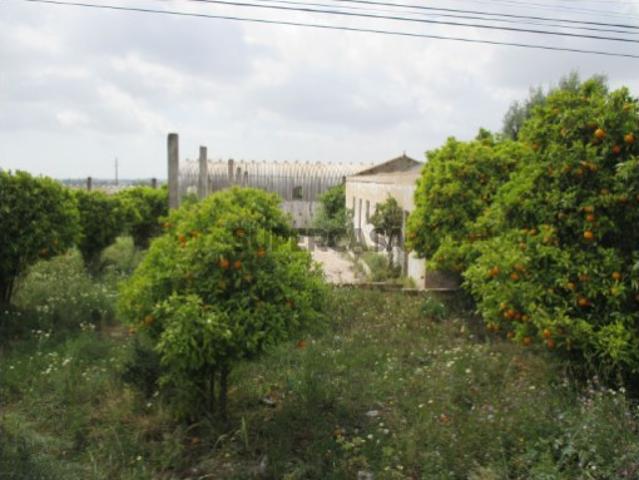 Terreno venda em Faro