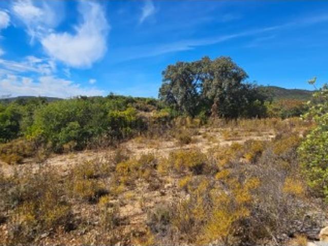 Terreno venda em Tavira, Faro