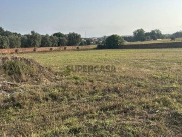 Terreno venda em Roçadas de Espinhos, Ovar