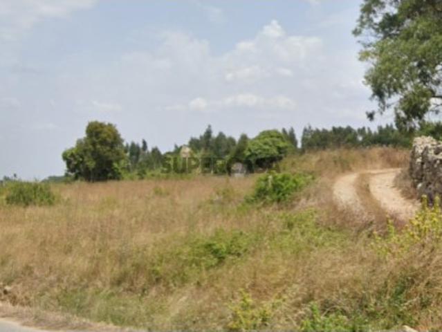 Terreno venda em Casal Serrano, Lourinhã