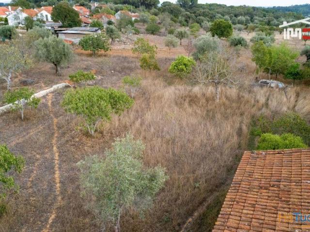 Terreno venda em Torres Novas, Santarém