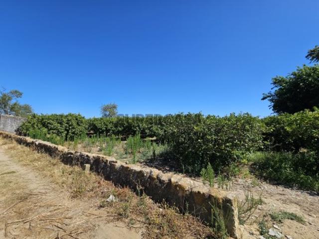 Terreno venda em Conceição e Estoi, Faro