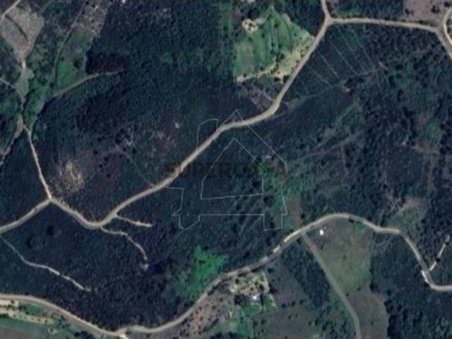 Terreno venda em Meruge, Coimbra