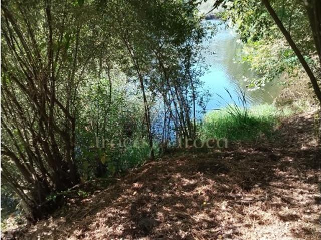 Terreno venda em Barril de Alva, Côja e Barril de Alva