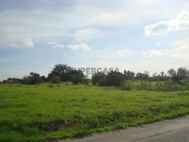 Terreno venda em Montijo, Setúbal