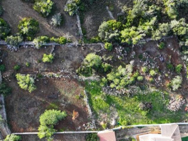 Terreno venda em Loulé, Faro