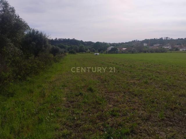 Terreno venda em Madalena e Beselga, Tomar
