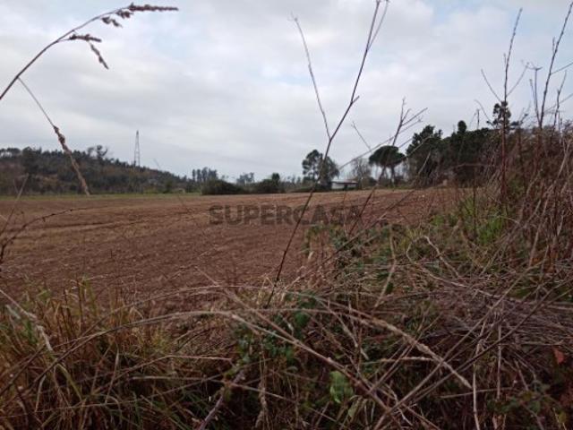 Terreno venda em Mamodeiro, Aveiro