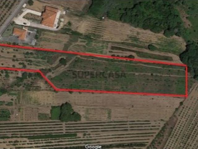 Terreno venda em Bombarral, Leiria