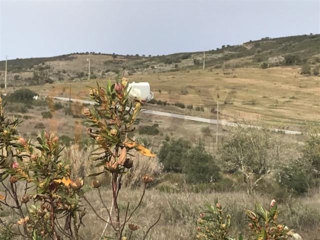 Terreno venda em Beja