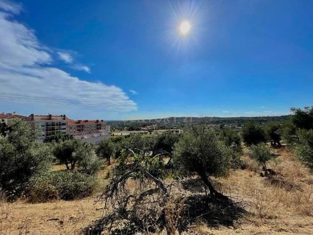 Terreno venda em Portalegre