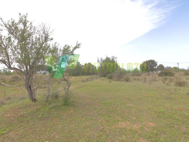 Terreno venda em Silves, Faro