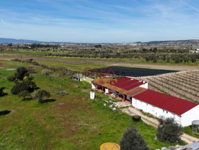 Terreno venda em Chamusca, Santarém