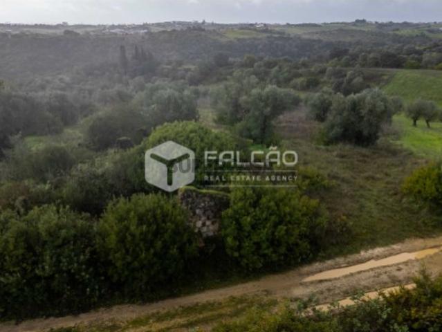 Terreno venda em Santarém