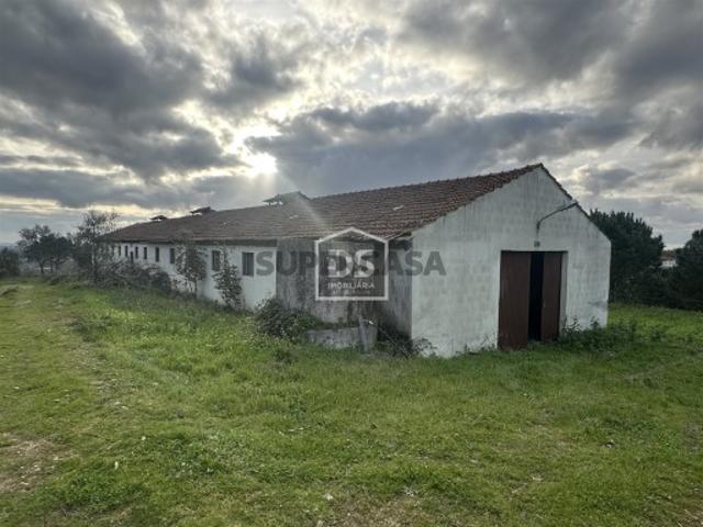 Terreno venda em Leiria