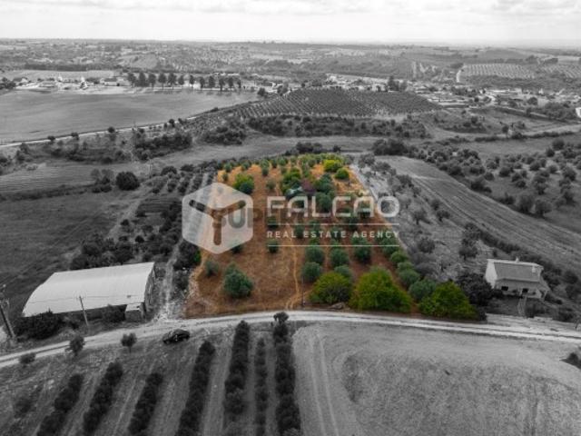 Terreno venda em Santarém