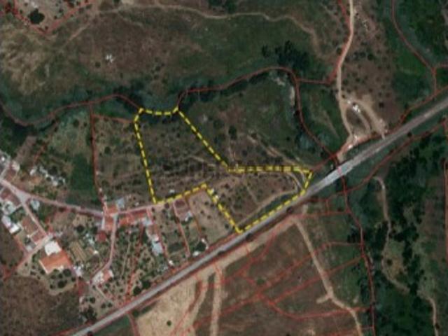 Terreno venda em Abrantes (São Vicente e São João) e Alferrarede, Abrantes