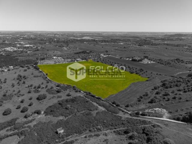 Terreno venda em Santarém